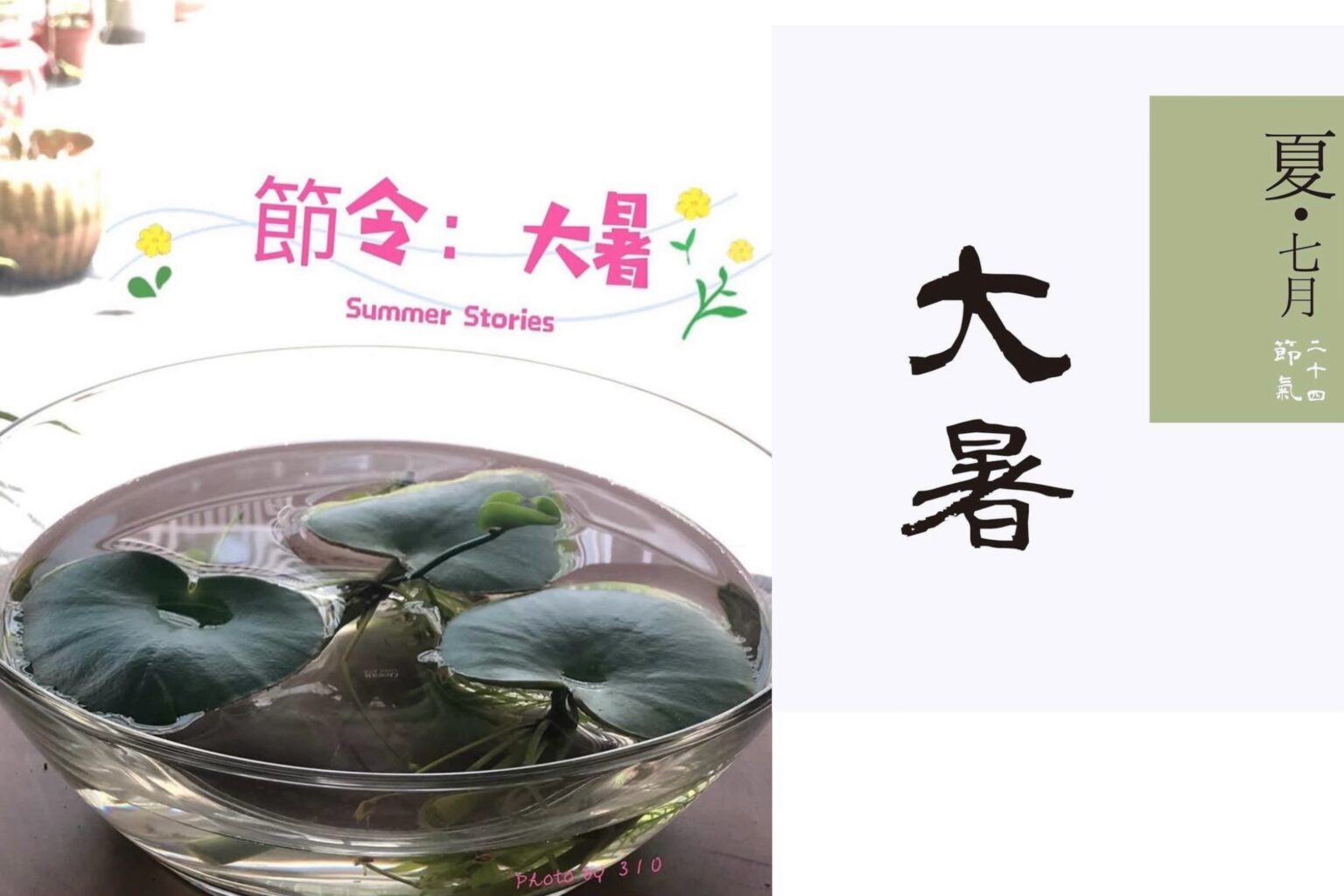 負離子纖維與節氣大暑 | IB³ News 心視界